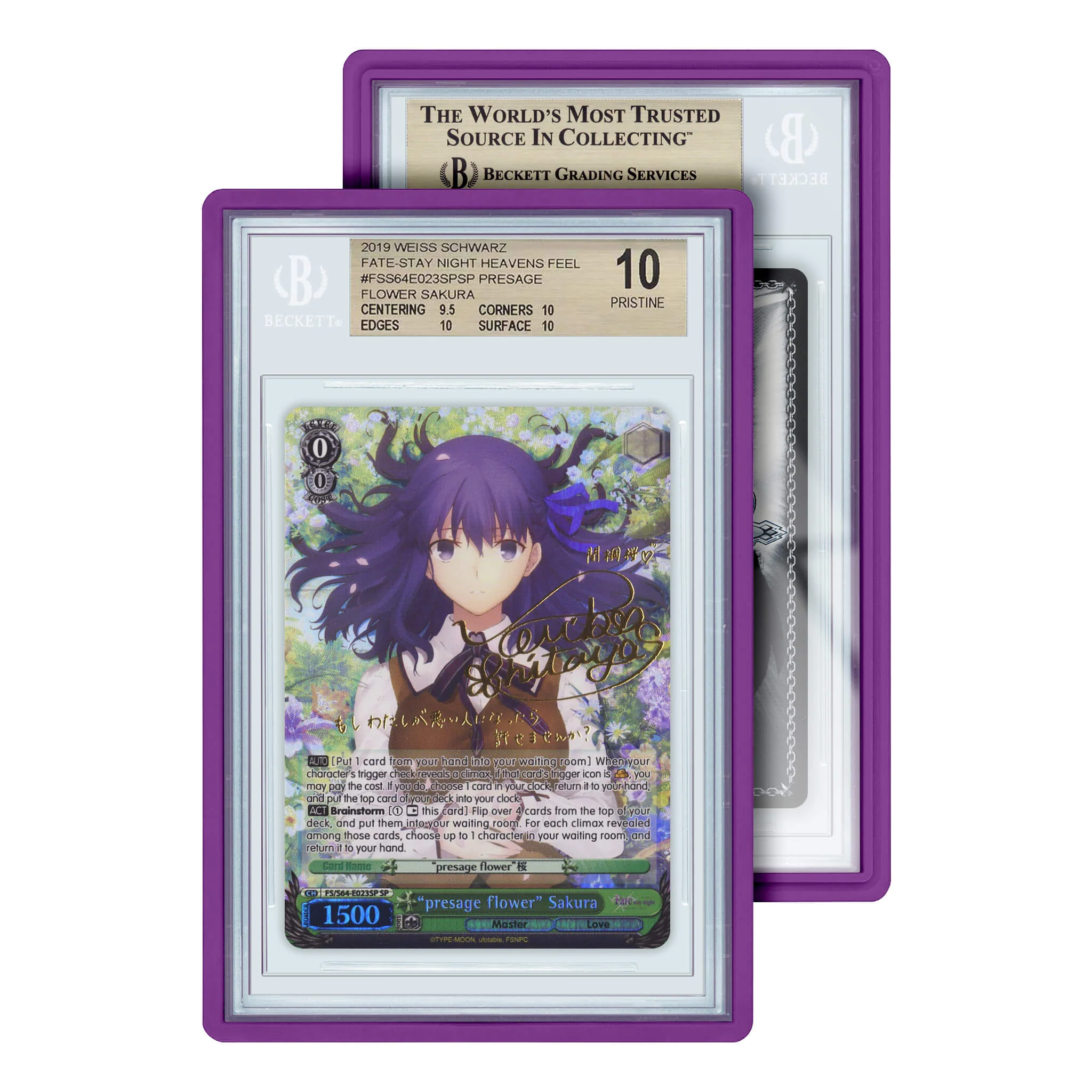 Standard Case (BGS) - Image 9